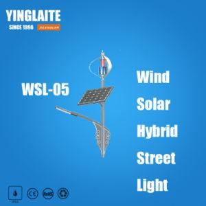 Manufacturer Ce RoHS 8m Pole 80W Wind Solar Hybrid Street Light