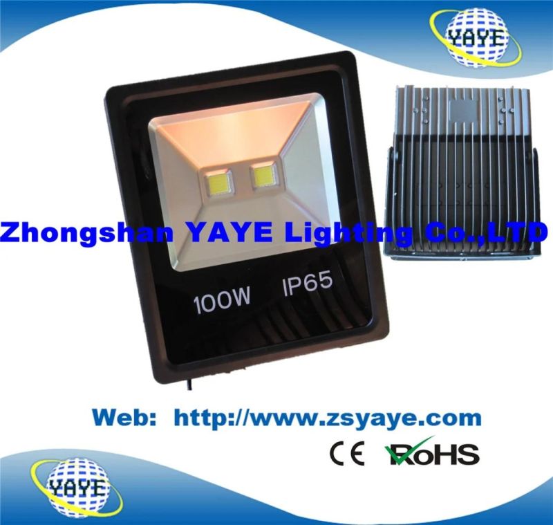 Yaye 18 Newest Design Ce/RoHS Approval 60W LED Flood Light / LED Floodlight/ LED Tunnel Light