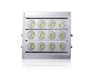 ETL Ce RoHS Certified Ledsmaster LED Rink Flood Light 360W