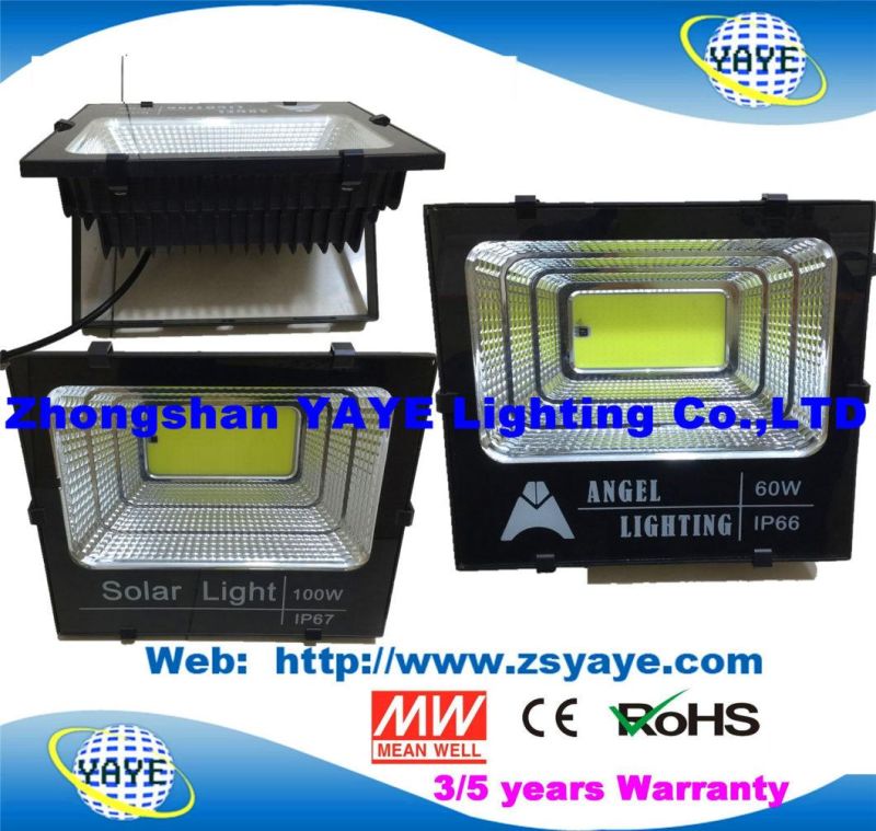 Yaye 2021 Hot Sell Outdoor IP67 COB 40W Solar LED Flood Light / 40W Solar LED Flood Lighting with 2/3 Years Warranty