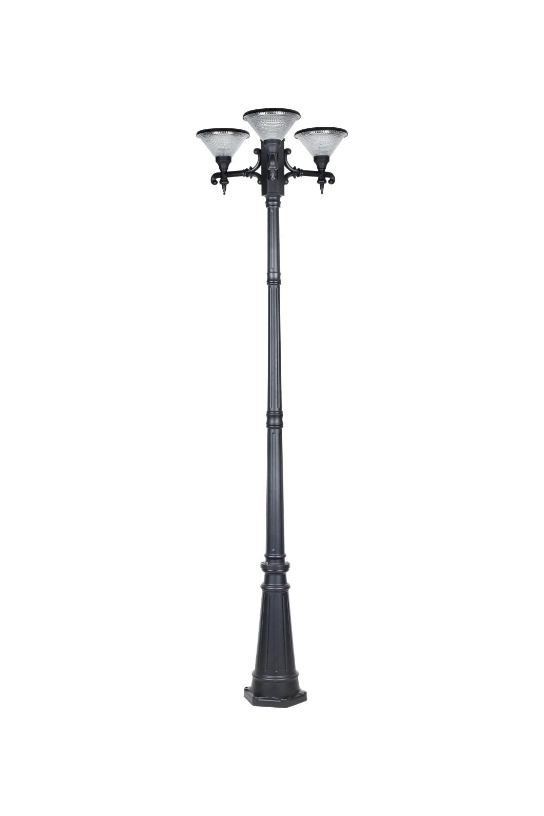 IP65 Outdoor CE Tall Solar Garden Light Types Sale