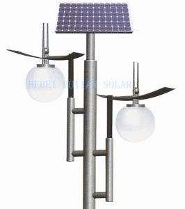 Customized Design Solar Garden Lighting 3.5m 20W