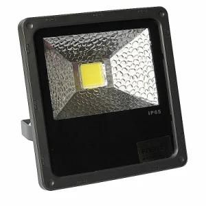 LED COB 20W Floodlight, CE&RoHS, IP65 (TG001-20)