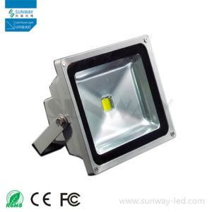 High Quality CE/RoHS IP65 Floodlight with Brigelux Chip (SW-FL290-C50W)