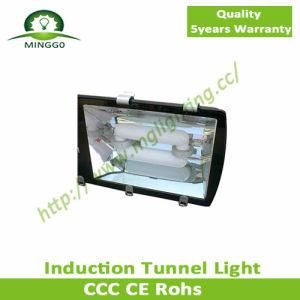80W~150W Industrial Induction Tunnel Light