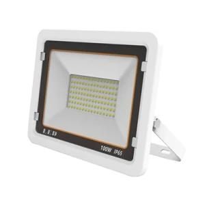 Innovative Design IP65 Waterproof Outdoor LED Flood Light with 2 Years Warranty for Park