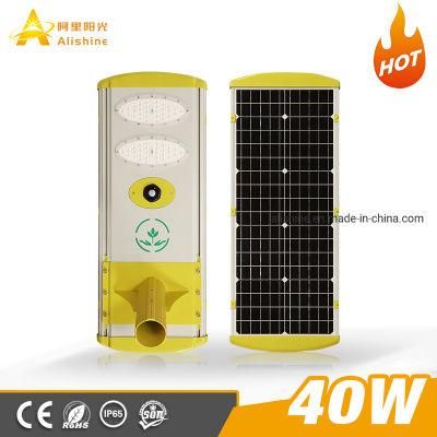 Outdoor Human Body Induction Waterproof IP65 40W All in One LED Solar Road Light