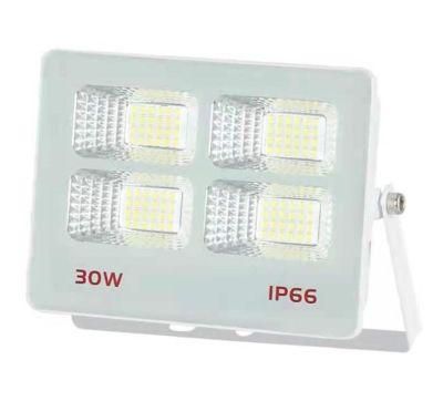 30W Jn Eye Model Outdoor LED Light for Energy Saving and Great Design and Waterproof IP66