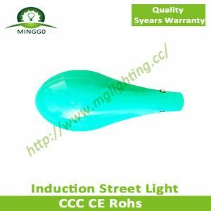 60W Induction Street Light Road Lamp Outdoor Light