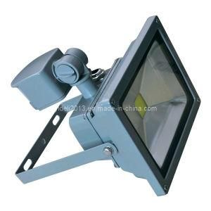 30W RGB Waterproof IP65 LED Floodlight Outdoor Projector