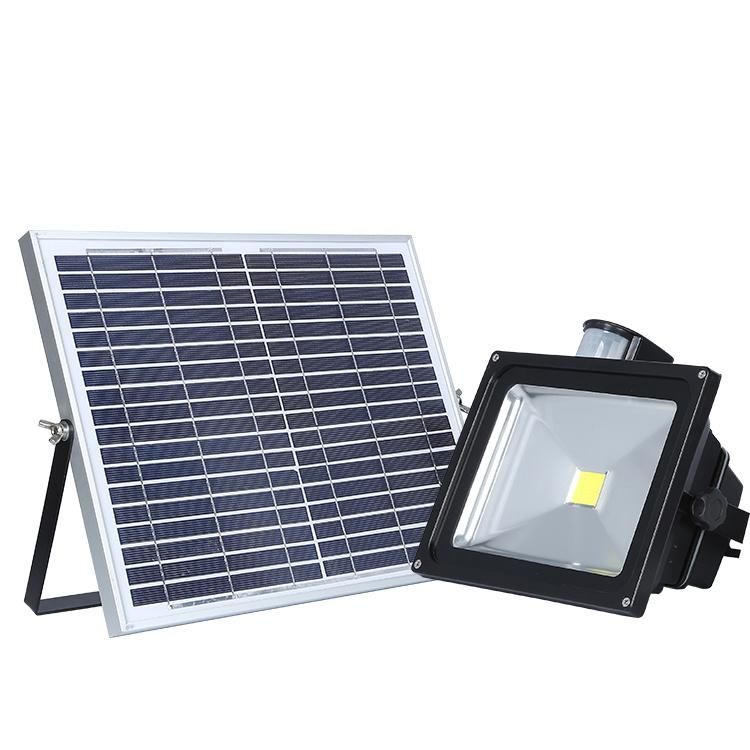 Hot Selling 50W 100W Waterproof Outdoor Floodlight with Solar Panel