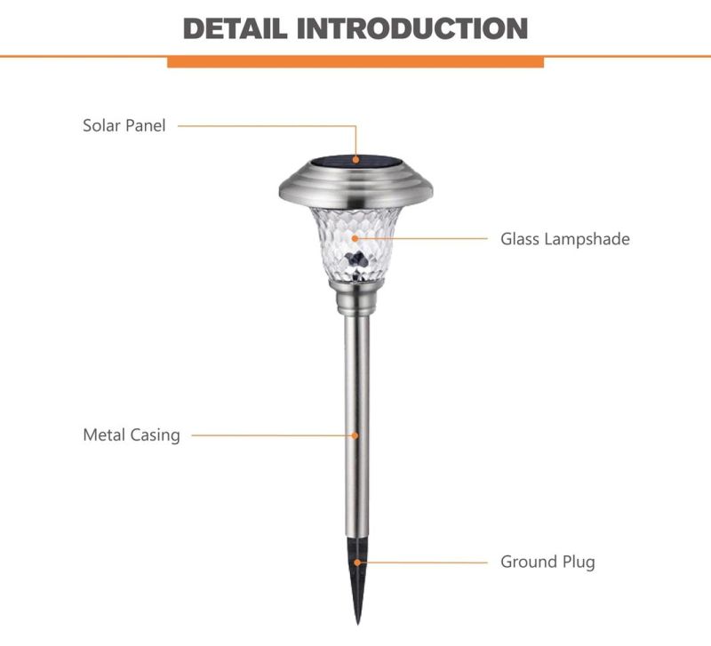 Solaramigo Outdoor Waterproof Stainless Steel Glass LED Garden Landscape Ground Plug Light