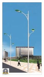 10m 250W Street Sodium Lamp with Double Arms