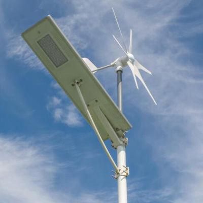 30W PIR Hybrid Power System Wind Solar Street Light