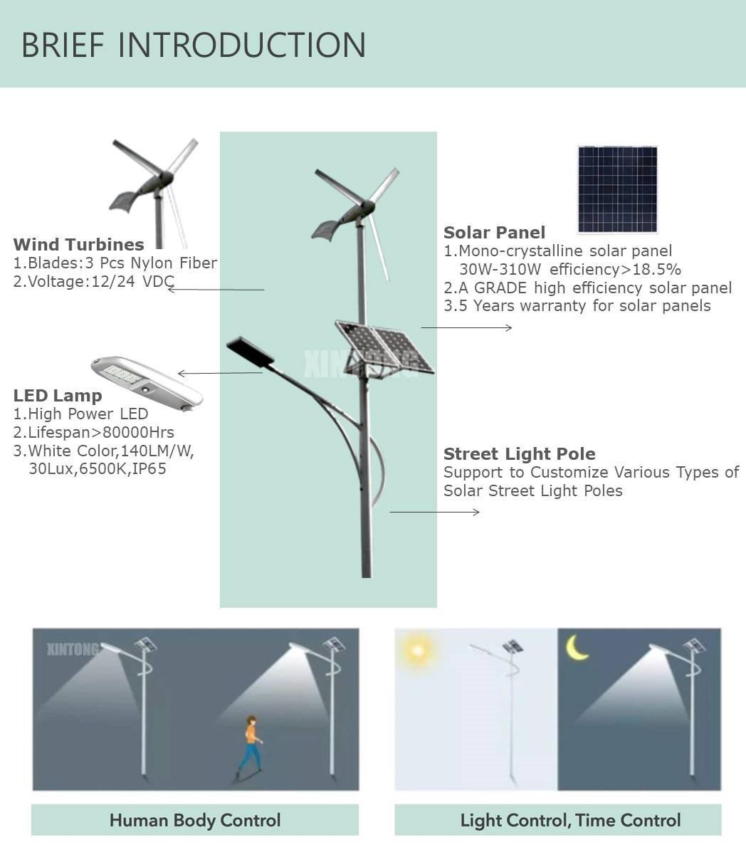 ISO9001 IP67 30W 60W HPS High Brightness Waterproof Outdoor Fan Energy Saving LED Solar Wind Turbine Street Hybrid Light Housing Aluminum Die Casting with Pole