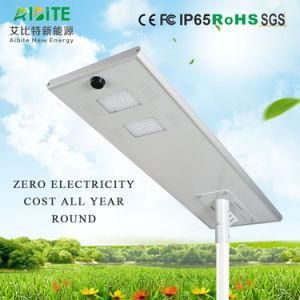 Factory Supply IP65 Solar LED Garden Street Light with Build-in Lith Battery for Outdoor Lighting
