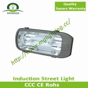 200W~240W Street Light Road Lamp Induction Street Light