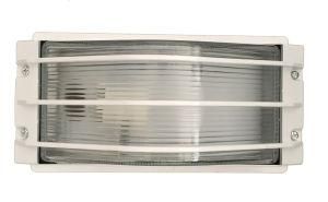 Outdoor Waterproof Lighting High Quality 60W 100W Bulkhead Lamp