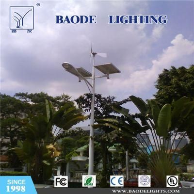 Best Selling Wind Solar Hybrid LED Street Light (BD-TYN0001)