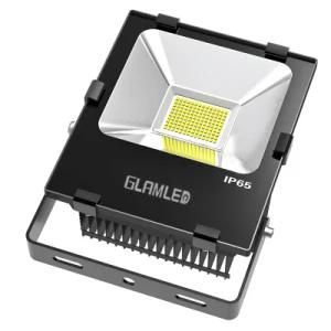 Waterproof IP65 60W Driverless LED Flood Light