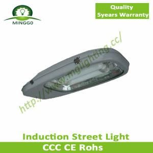 120W~180W Induction Street Light Road Lamp Outdoor Lamp IP68 Waterproof