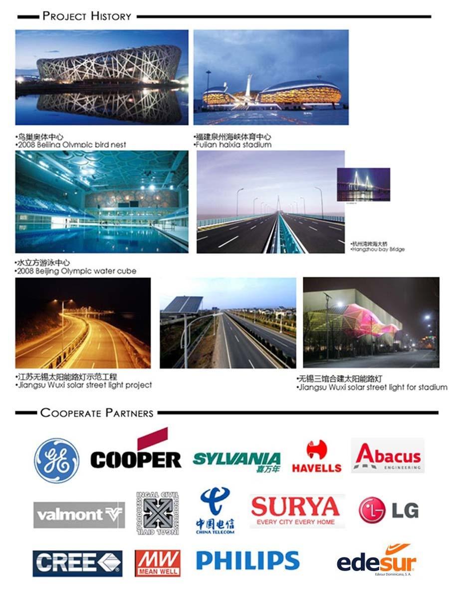 Street Light/Road Light Luminaire Sodium Lamp