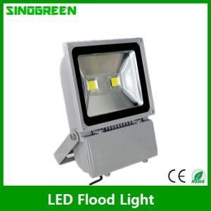 Ce RoHS LED Flood Light (LJ-FL001-100W)