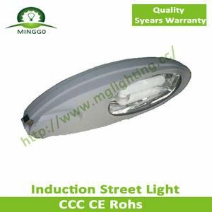 80W~100W Induction Street Light Outdoor Light Road Lamp
