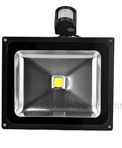 CE Approved 10W 20W 30W 50W 100W RGB Sensor PIR LED Flood Light (COB)