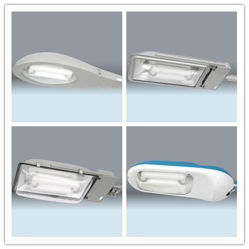 Outdoor Lighting Low Frequency Induction Street Light (BN-WDLH004W120) IP65 5000K Nature White