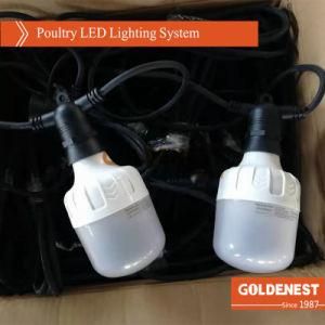 Poultry Farm LED Bulb