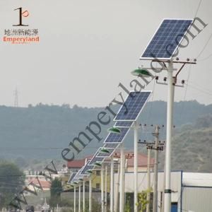 110W Solar Street Light with Ce&RoHS&FCC Approved