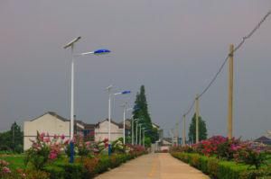 Outdoor LED Solar Street Light 30W with CE Cerficate for 2-6 Rainy Days