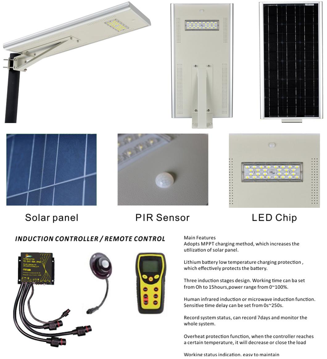 Solar Perimeter PIR Plaza Parrot Paver Light