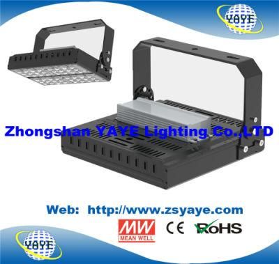 Yaye 18 Hot Sell Osram Chips/Meanwell Modular 100W LED Flood Light/100W LED Floodlight with 5 Years Warranty