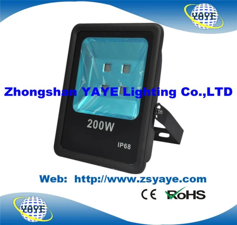 Yaye 18 Hot Sell Ce/RoHS 300W COB LED Flood Light/ COB LED Floodlight with 3/5 Years Warranty