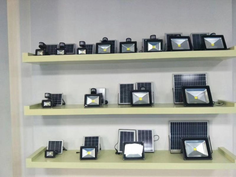 220V 50W Factory Supply Rechargeable Floodlight