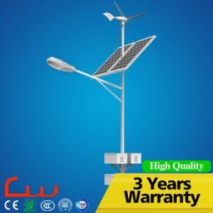 60W 8m Whole System Solar Wind LED Street Light