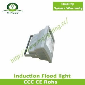 40W 80W 150W 200W Induction Flood Industrial Light