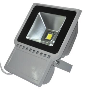 60W 12V LED Landscape Light