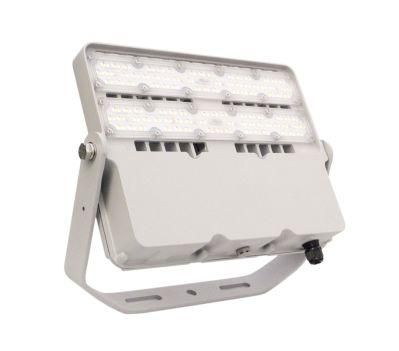 LED Flood Light Bulbs Outdoor CE RoHS SAA CB TUV LED Floodlight Cheaper Price SKD Flood Light SMD COB Spotlight Solar LED Flood Light