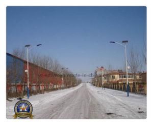 Factory Price 5m Solar Street Light