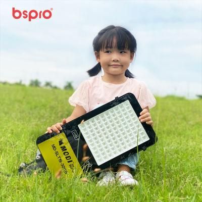 Bspro Powered Sensor Waterproof Manufacturer Outdoor LED Power Panel Lamp Solar Street Light