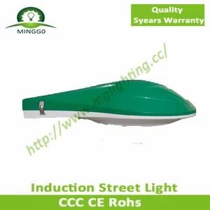 50W Induction Street Light Road Lamp Outdoor Light