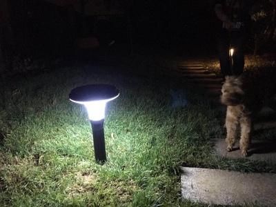 New Wholesale IP65 Park Yard Warm White Solar Powered LED Lamp