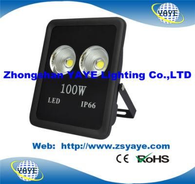 Yaye 18 Hot Sell Ce/RoHS/3 Years Warranty COB 100W LED Floodlight /100W COB LED Tunnel Light