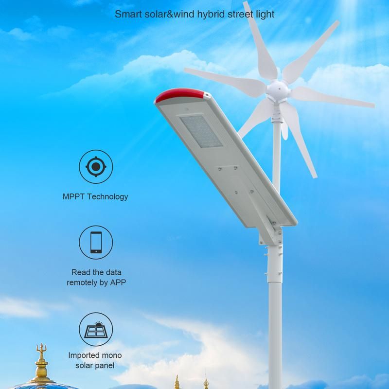 30W PIR Hybrid Power System Wind Solar Street Light