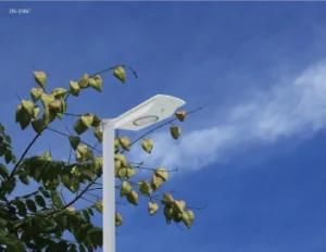 Mono Panel Powered Solar Outdoor Light for Roads, Parks and Gardens IP65