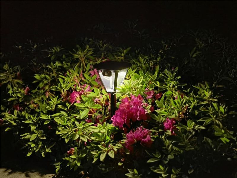 Hot Sale Outdoor Garden Waterproof Motion Sensor Solar Lawn Lamp with Remote Control