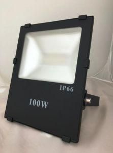 100W LED Floodlight